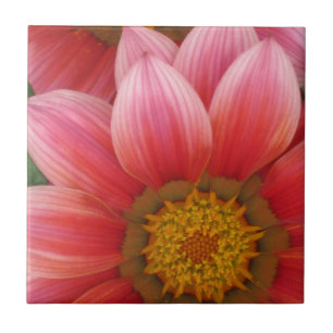 African Daisy Ceramic Tile