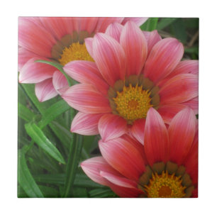African Daisy Ceramic Tile