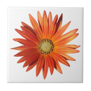 African Daisy Ceramic Tile