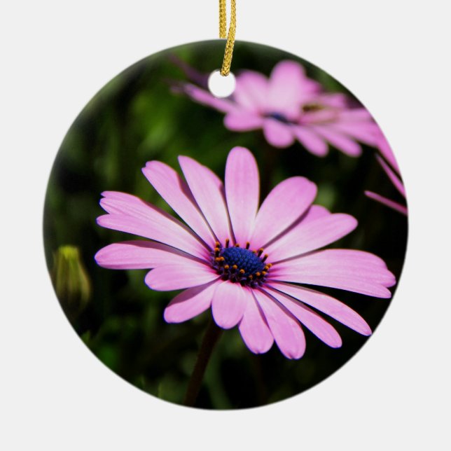 African Daisy Ceramic Tree Decoration (Front)