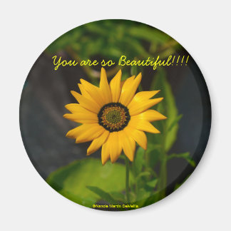 African Daisy-Circle Magnet