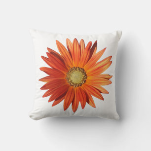 African Daisy Cushion