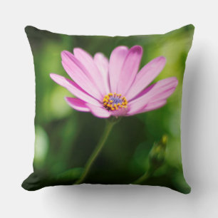 African daisy cushion