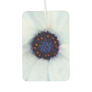 African Daisy Flower Car Air Freshener