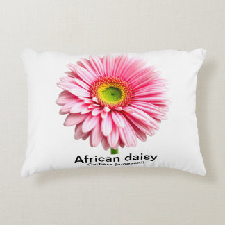African daisy flower decorative cushion