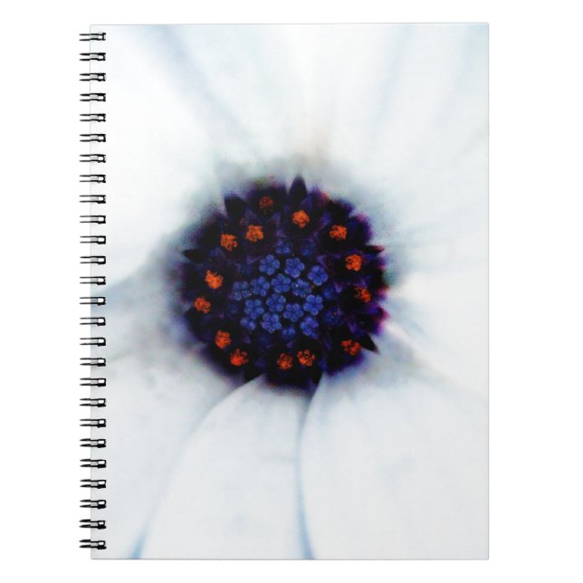 African Daisy Flower Notebook (Front)