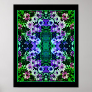 African Daisy Flowers Colourful Abstract   Poster