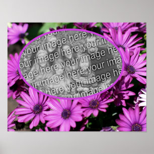 African Daisy Flowers Frame Create Your Own Photo  Poster