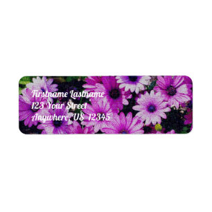 African Daisy Flowers Vintage Look Address Return Address Label