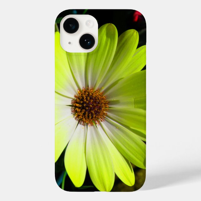 African Daisy Fluorescent Yellow Case-Mate iPhone Case (Back)