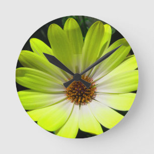 African Daisy Fluorescent Yellow Wall Clock