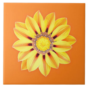African Daisy / Gazania - Orange and Yellow Tile