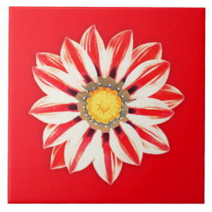 African Daisy / Gazania - Red and White Striped Ceramic Tile