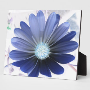 African Daisy Glowing Blue Plaque