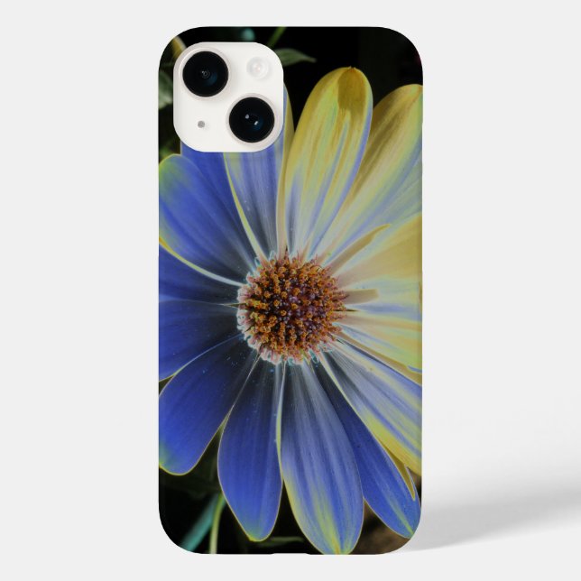 African Daisy Lapis and Gold Case-Mate iPhone Case (Back)