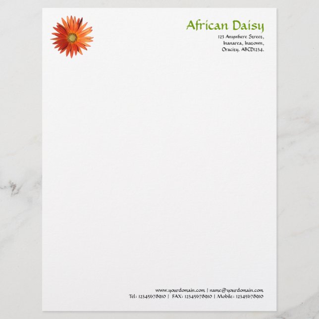 African Daisy Letterhead Design (Front)