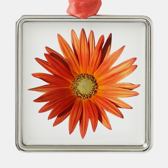 African Daisy Metal Ornament (Front)
