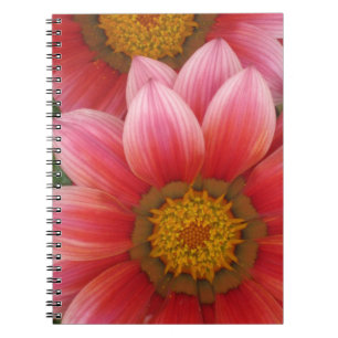 African Daisy Notebook