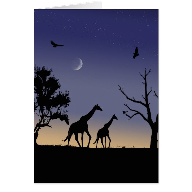African dawn - giraffes (Front)