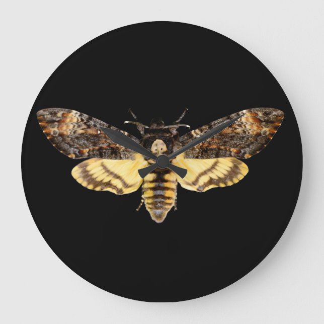 african death head moth butterfly insect Acheronti Large Clock (Front)