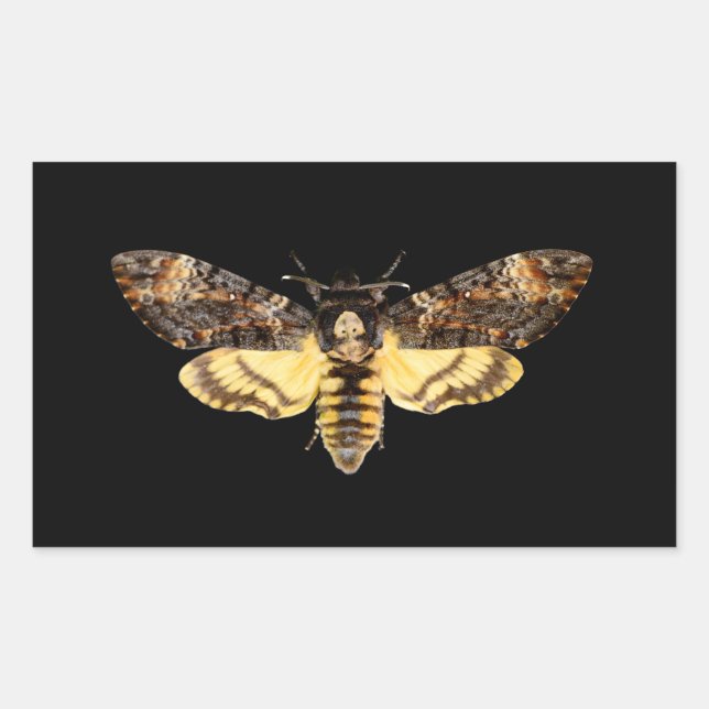 african death head moth butterfly insect Acheronti Rectangular Sticker (Front)