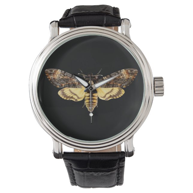 african death head moth butterfly insect Acheronti Watch (Front)