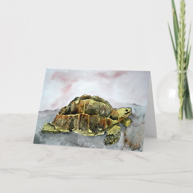 african desert tortoise land turtle greeting card (Front)