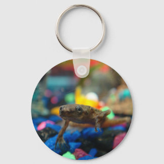 African Dwarf Frog Key Ring