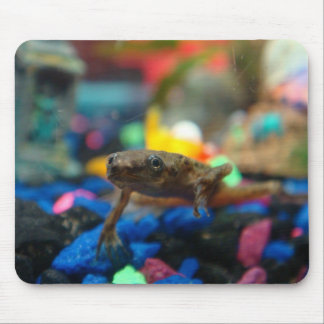 African Dwarf Frog Mouse Pad