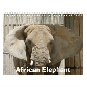 African_Elephant_005, African Elephant Calendar