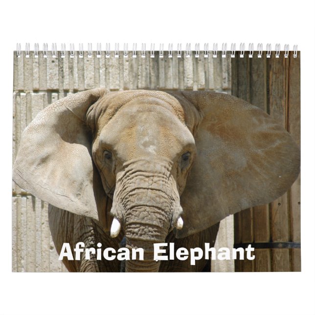 African_Elephant_005, African Elephant Calendar (Cover)