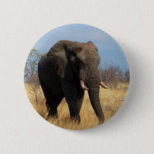African Elephant 6 Cm Round Badge