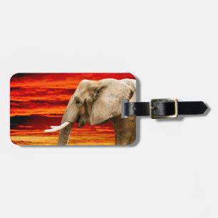 African Elephant - Address Luggage Tag
