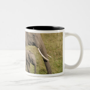 African Elephant and cub (Loxodonta africana), Two-Tone Coffee Mug