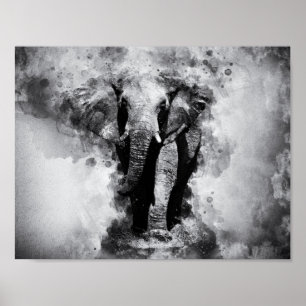 African Elephant Black and White Watercolor Poster