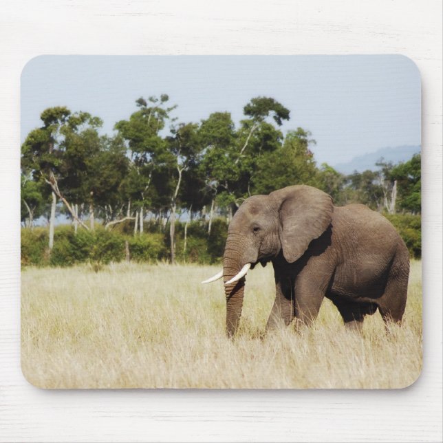 African elephant bull mouse pad (Front)