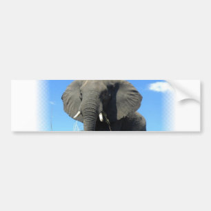 African Elephant Bumper Sticker