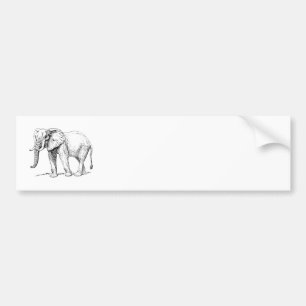 African Elephant Bumper Sticker