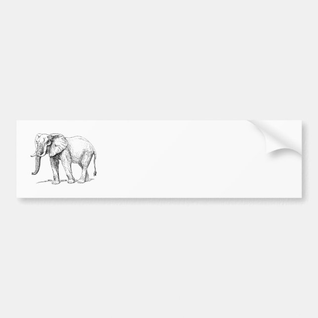 African Elephant Bumper Sticker (Front)