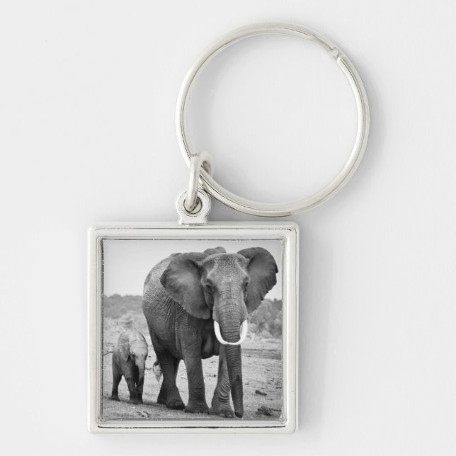 African Elephant & Calves | Kenya, Africa Key Ring (Front)