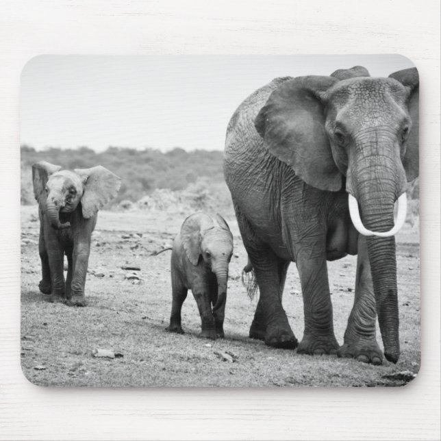 African Elephant & Calves | Kenya, Africa Mouse Pad (Front)