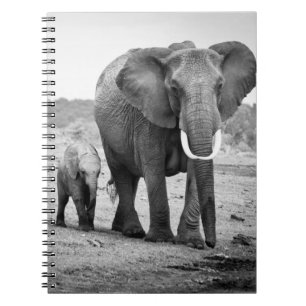 African Elephant & Calves Kenya, Africa Notebook