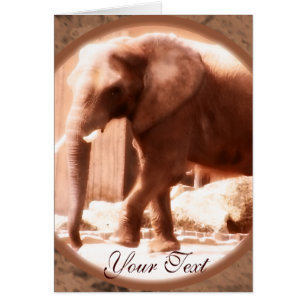 African Elephant Card