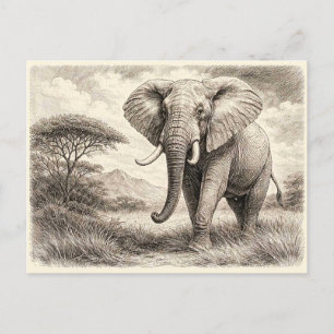 African elephant. Collectable  Postcard