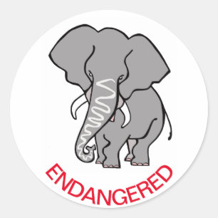 African ELEPHANT Conservation -  Save Wildlife Classic Round Sticker