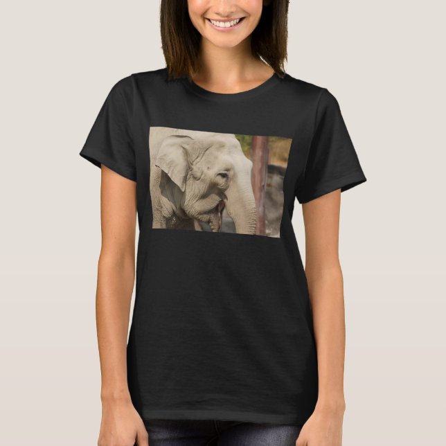 African Elephant Digital Art Toddler T-Shirt (Front)