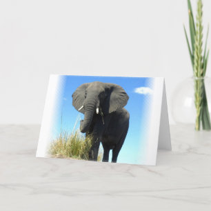 African Elephant Greeting Card