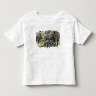 African Elephant herd, Loxodonta africana, 2 Toddler T-Shirt