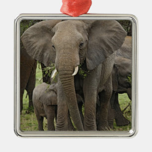 African Elephant   Herd Metal Ornament