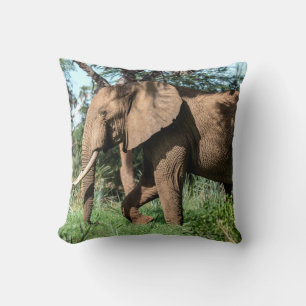 African Elephant in the Safari Cushion